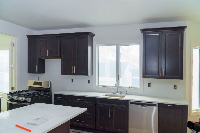 Built In Cabinetry Staining in Muncie, IN