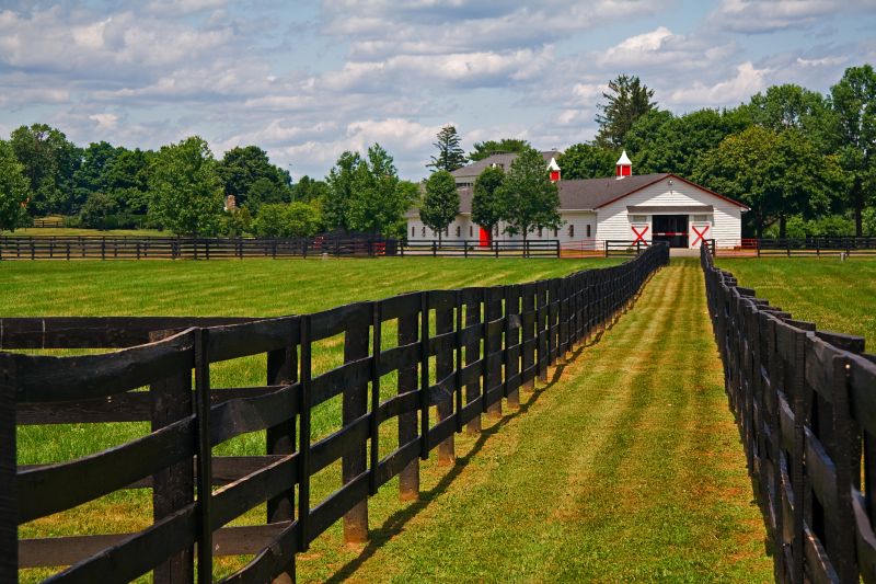 Improves livestock safety visibility