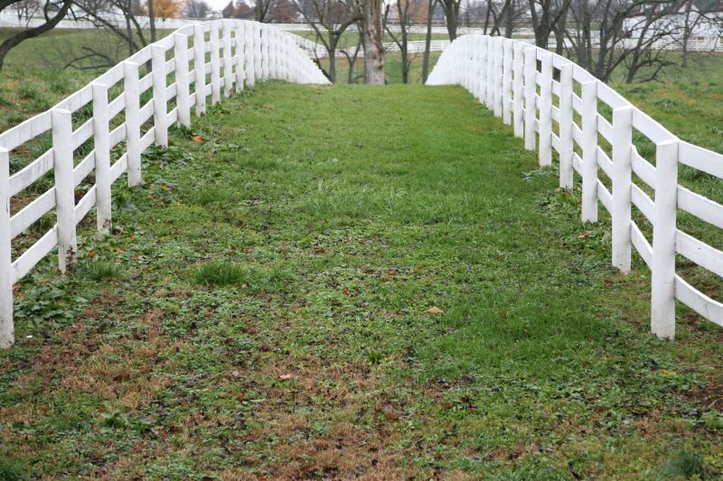 Livestock Fence Painting