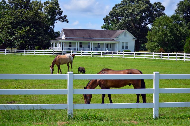 Completed Livestock Fence Art
